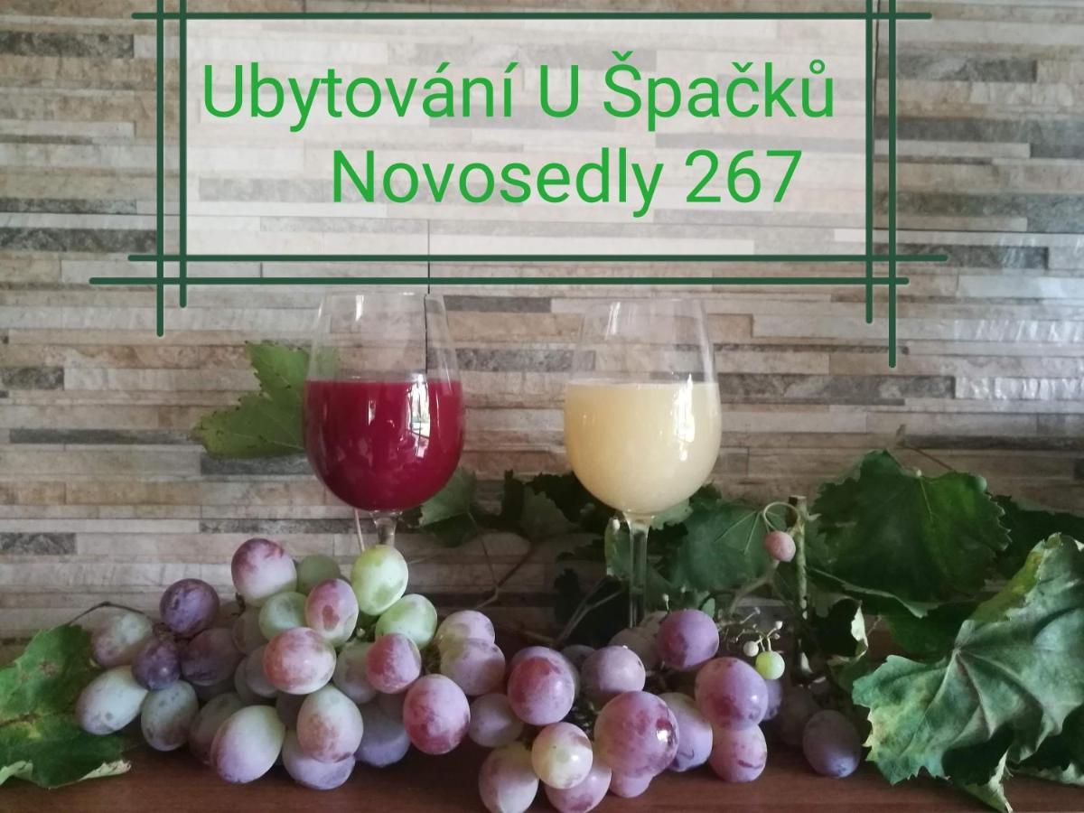 Ubytovani U Spacku Palava Novosedly  Екстер'єр фото