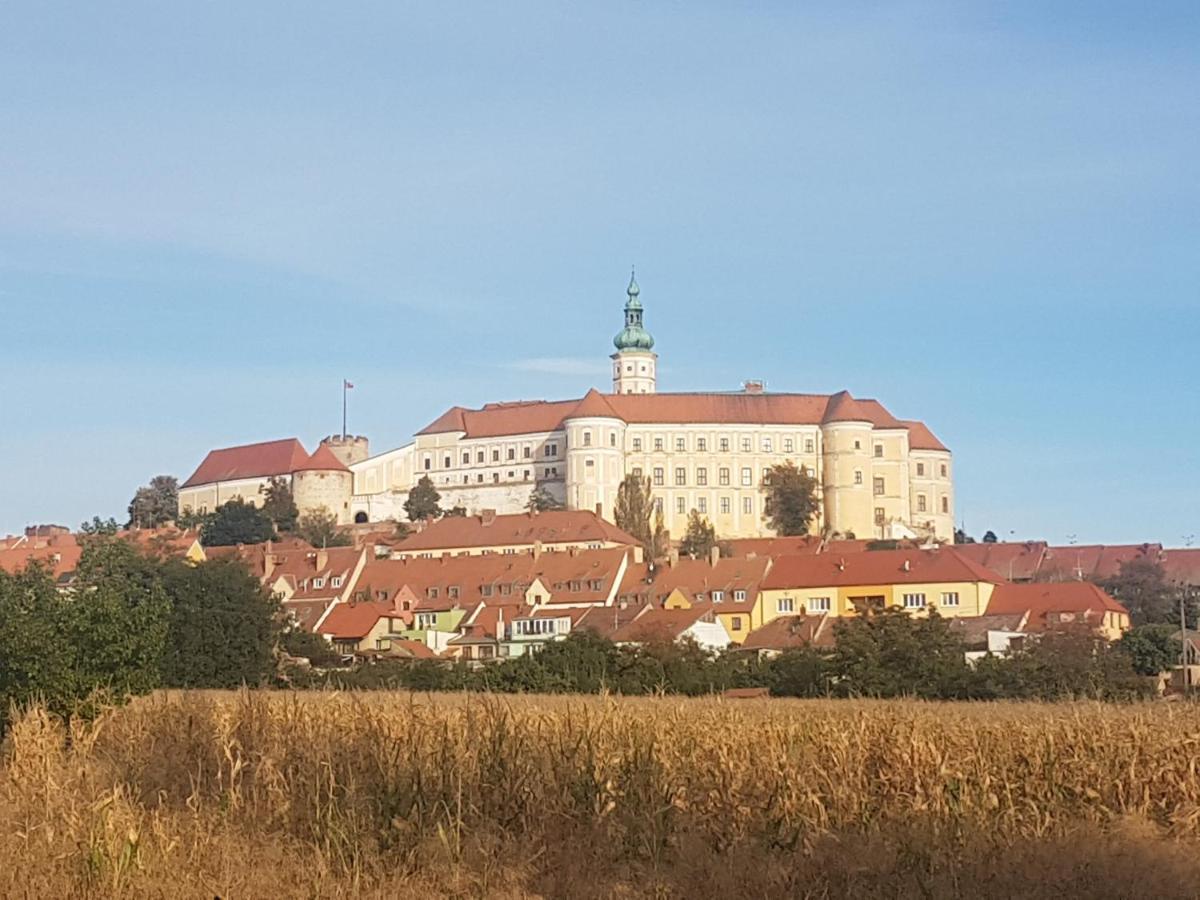 Ubytovani U Spacku Palava Novosedly  Екстер'єр фото