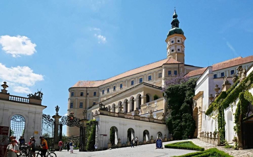 Ubytovani U Spacku Palava Novosedly  Екстер'єр фото