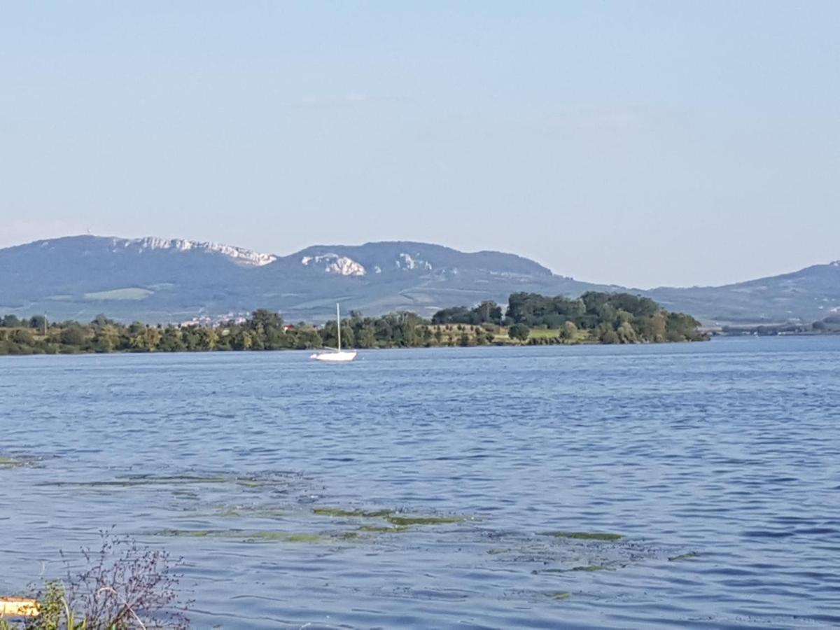 Ubytovani U Spacku Palava Novosedly  Екстер'єр фото