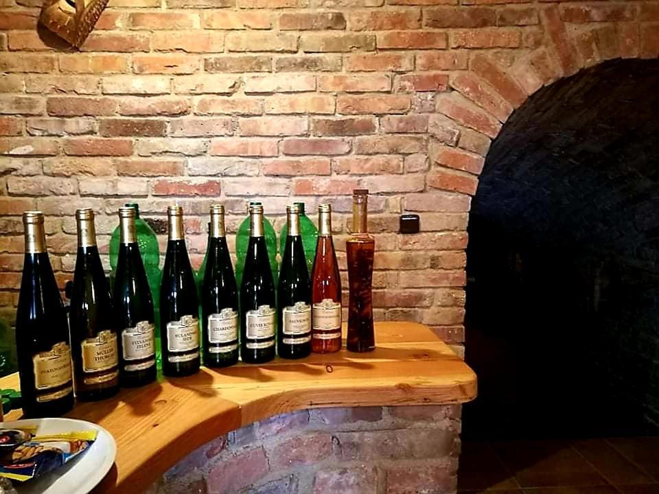 Ubytovani U Spacku Palava Novosedly  Екстер'єр фото