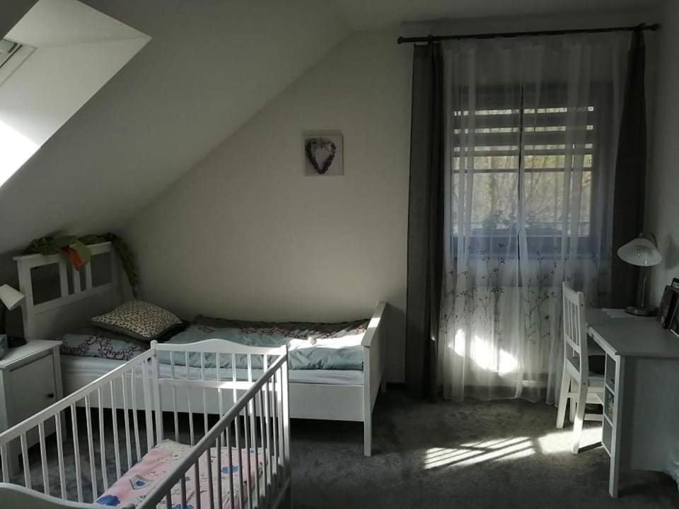 Ubytovani U Spacku Palava Novosedly  Екстер'єр фото